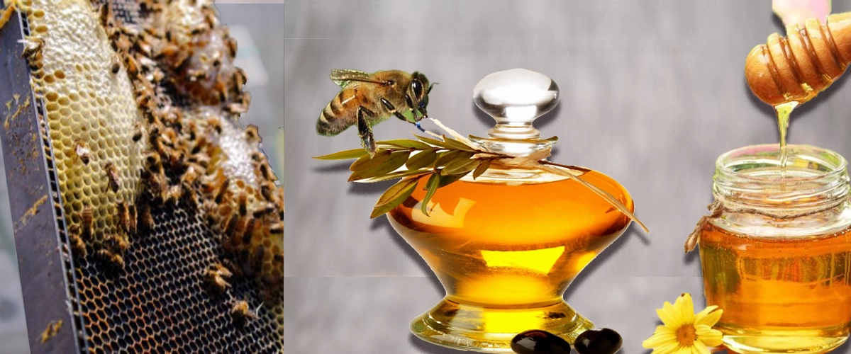 عسل طبیعی